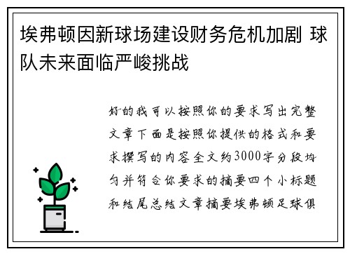 埃弗顿因新球场建设财务危机加剧 球队未来面临严峻挑战